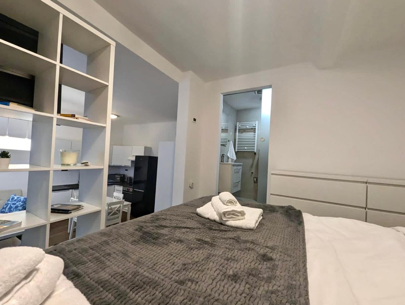 Fantabulous Downtown Abode W King Bed, 65" Tv, Washer And Tumble Dryer Ζάγκρεμπ Εξωτερικό φωτογραφία