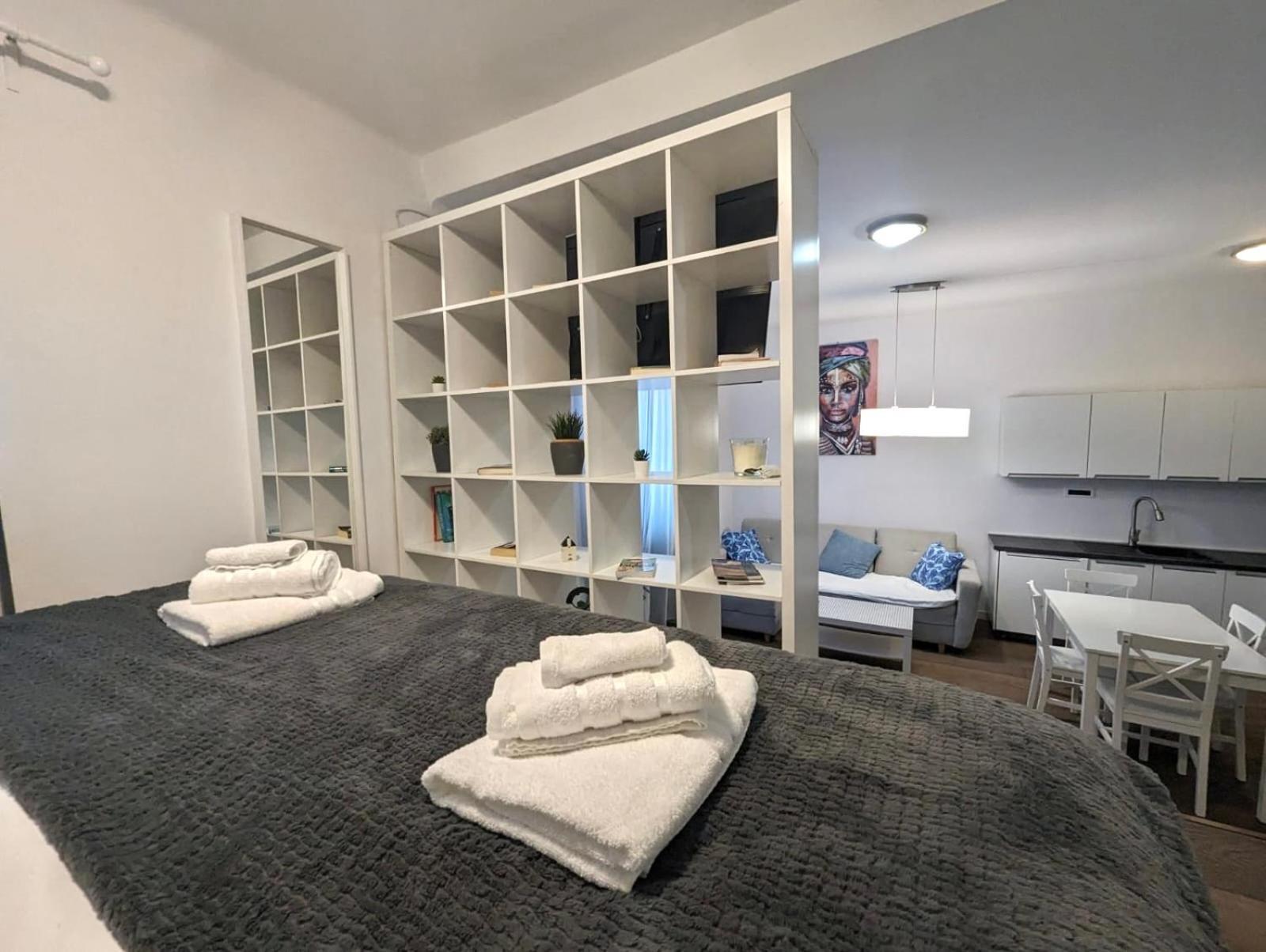 Fantabulous Downtown Abode W King Bed, 65" Tv, Washer And Tumble Dryer Ζάγκρεμπ Εξωτερικό φωτογραφία