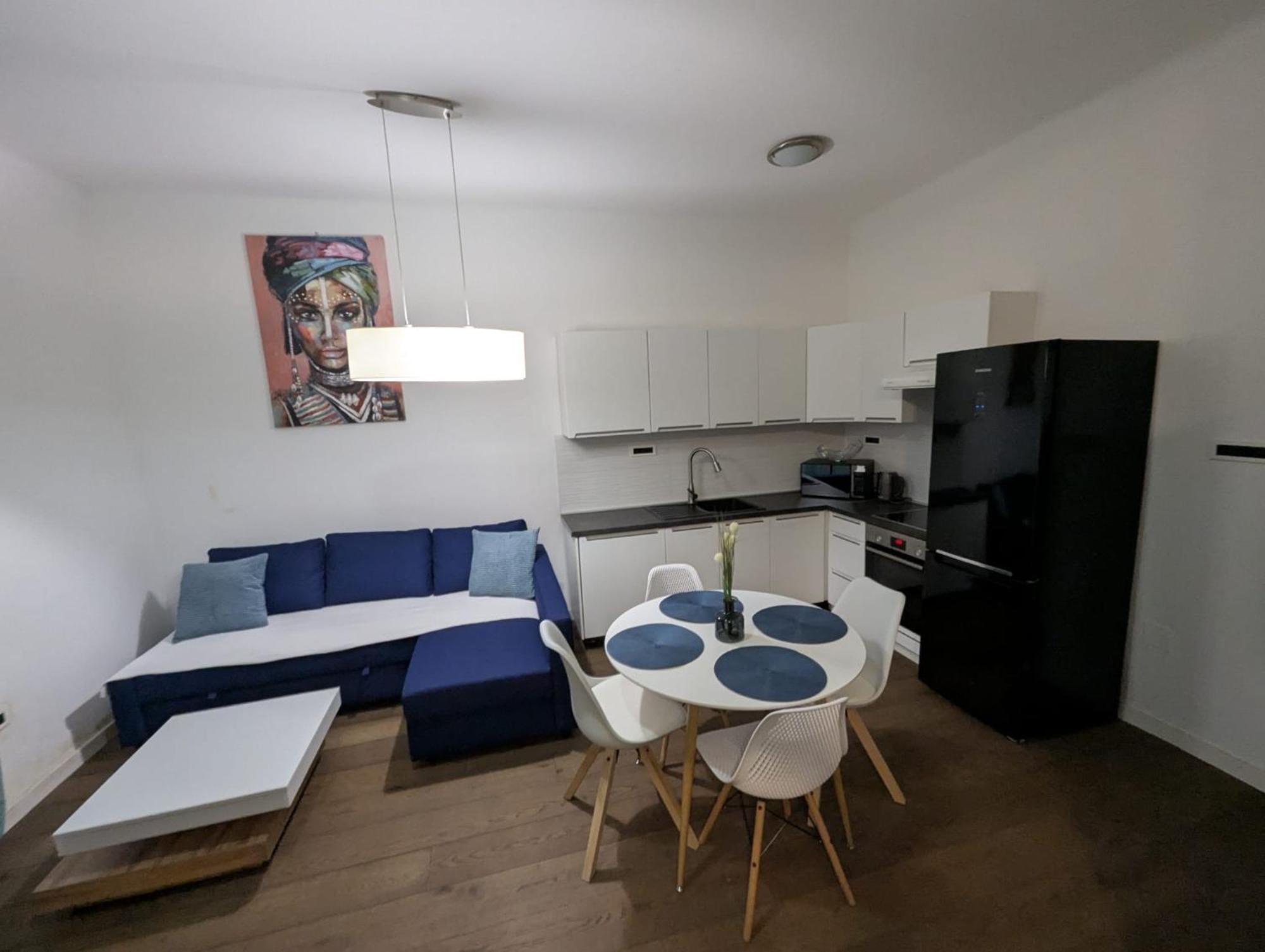 Fantabulous Downtown Abode W King Bed, 65" Tv, Washer And Tumble Dryer Ζάγκρεμπ Εξωτερικό φωτογραφία